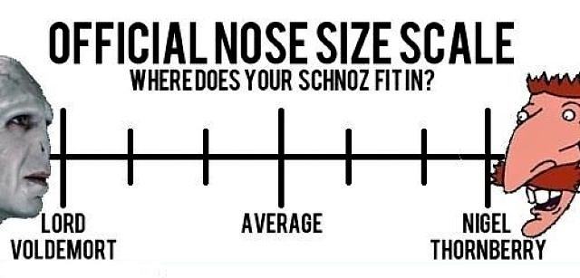 Obrázek Official nose size
