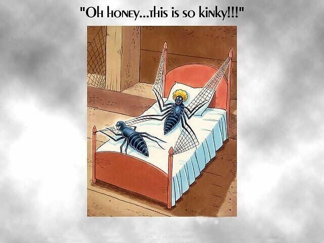 Obrázek Oh honey