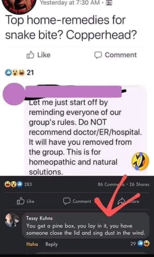 Obrázek Oly-for-homeopatic-and-natural-solutions