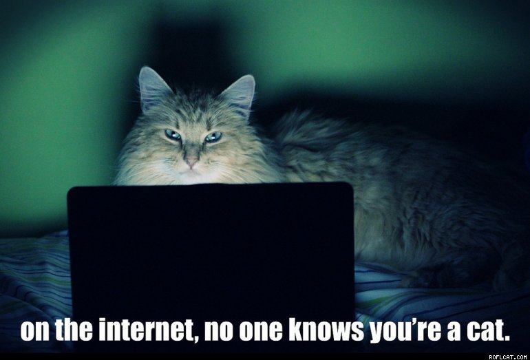 Obrázek On The Internet No One Knows You re A Cat