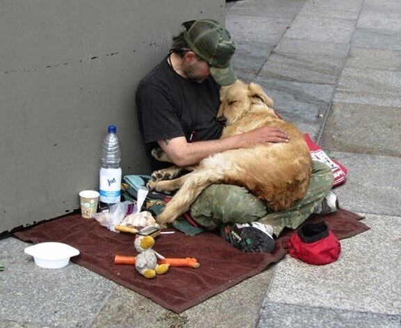 Obrázek One Man And His Dog