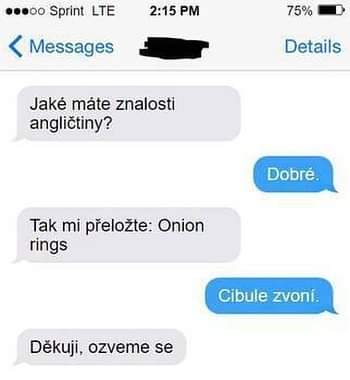 Obrázek Onion ringa