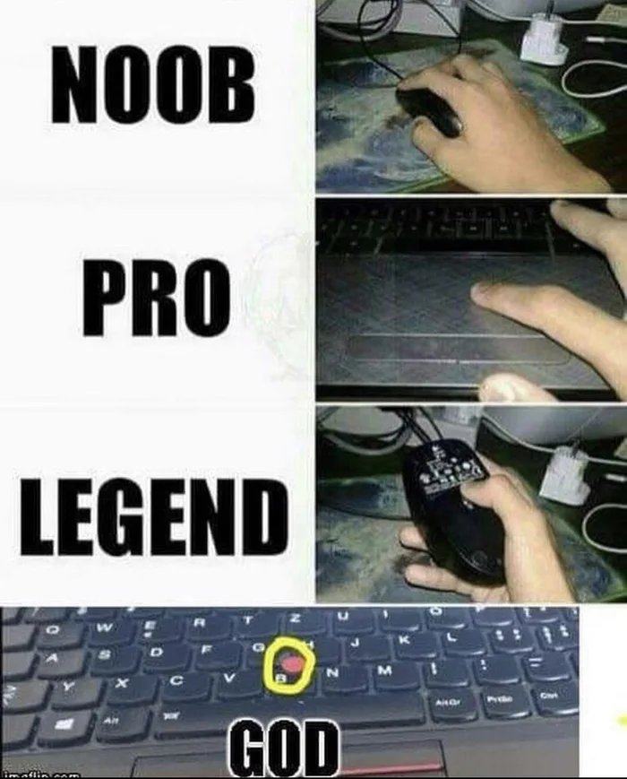Obrázek Only-pro-gamers-use-the-pointing-stick