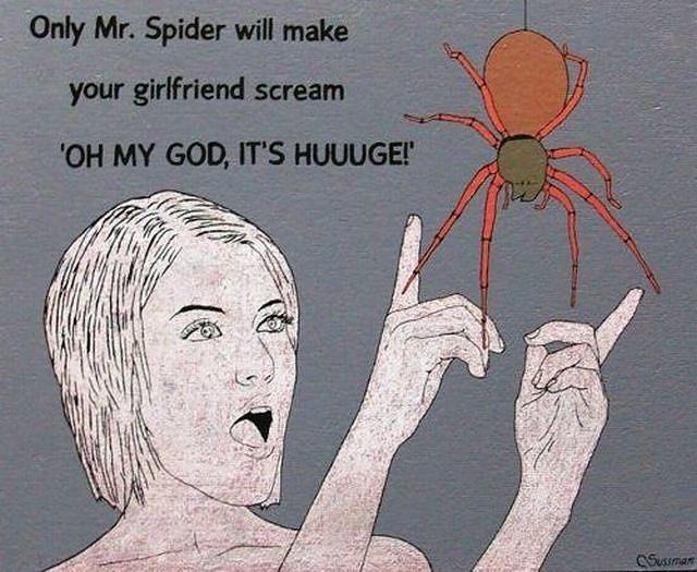 Obrázek Only Mr.Spider