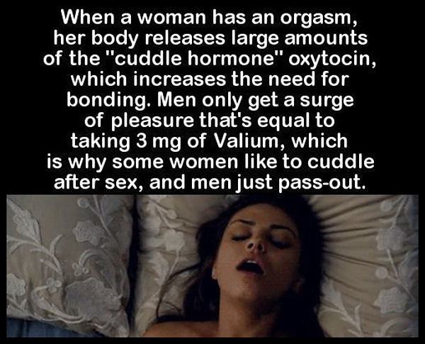 Obrázek Orgasm649