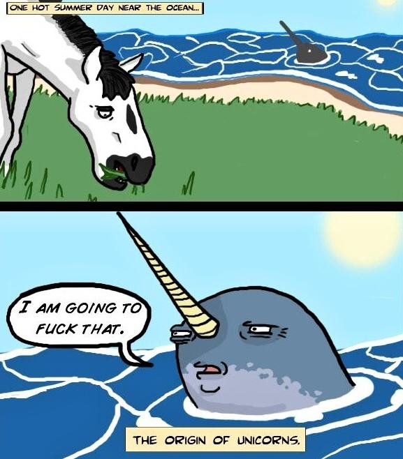 Obrázek Origin Of Unicorns