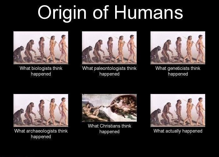 Obrázek Origin of humans - 29-05-2012