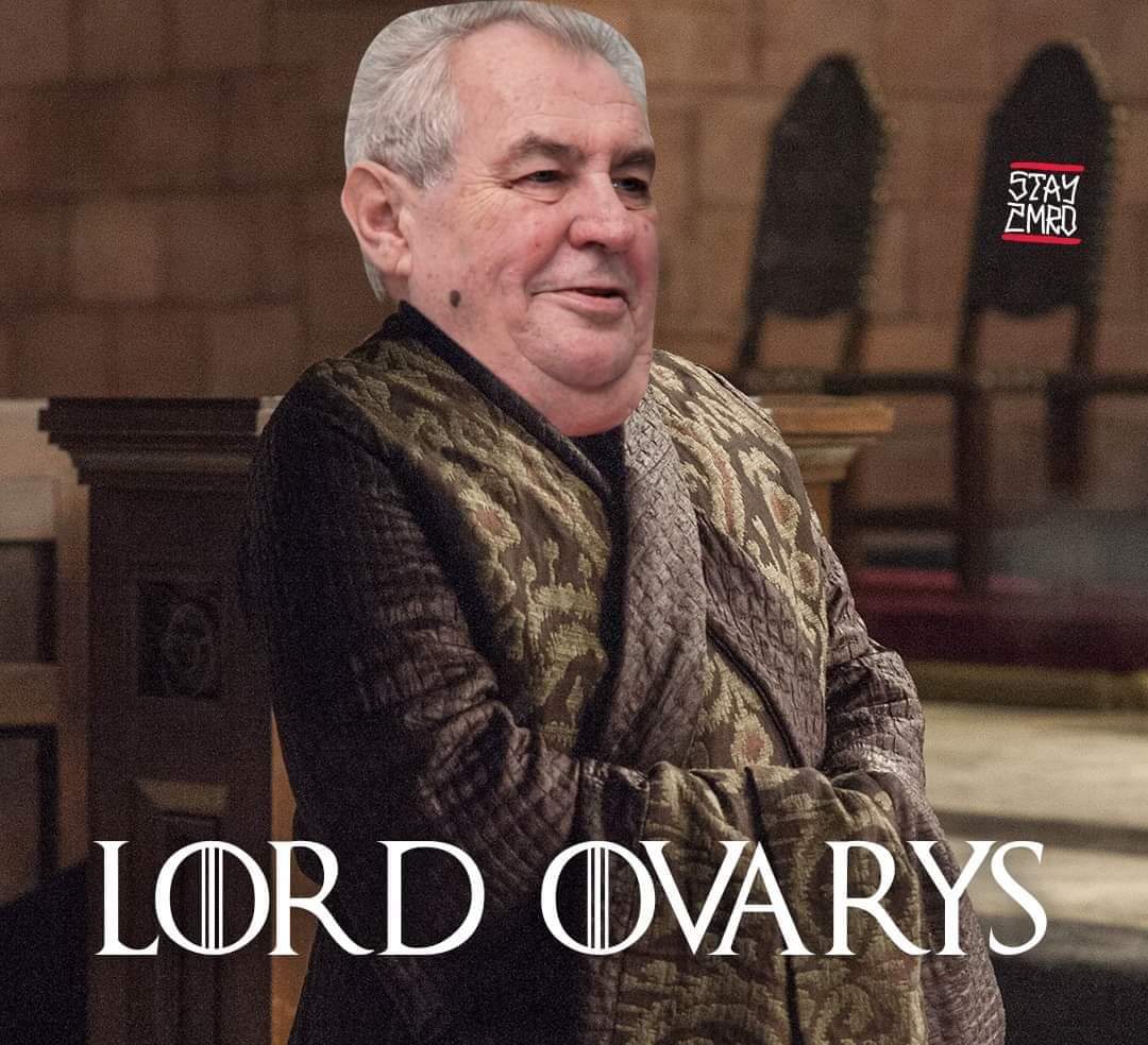 Obrázek Ovarys