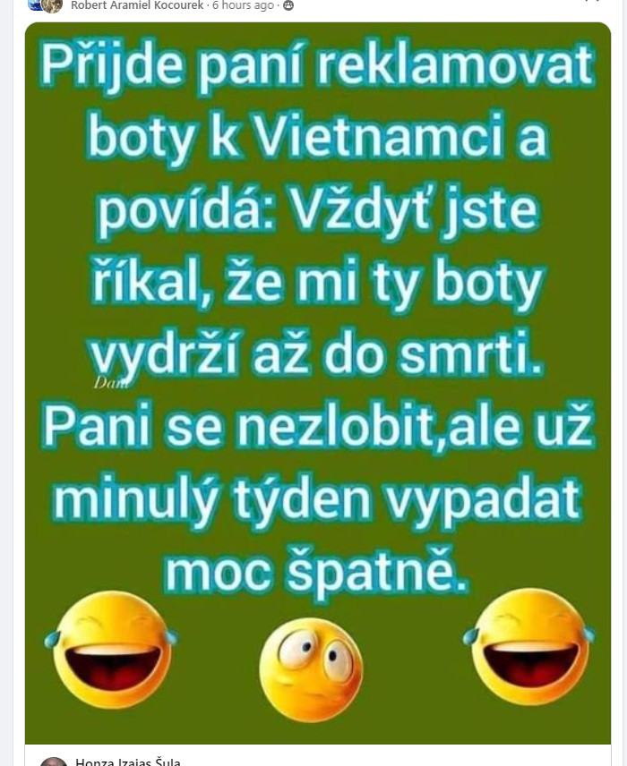 Obrázek PANI U VIETNAMCE