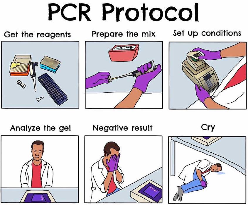 Obrázek PCRProtocol