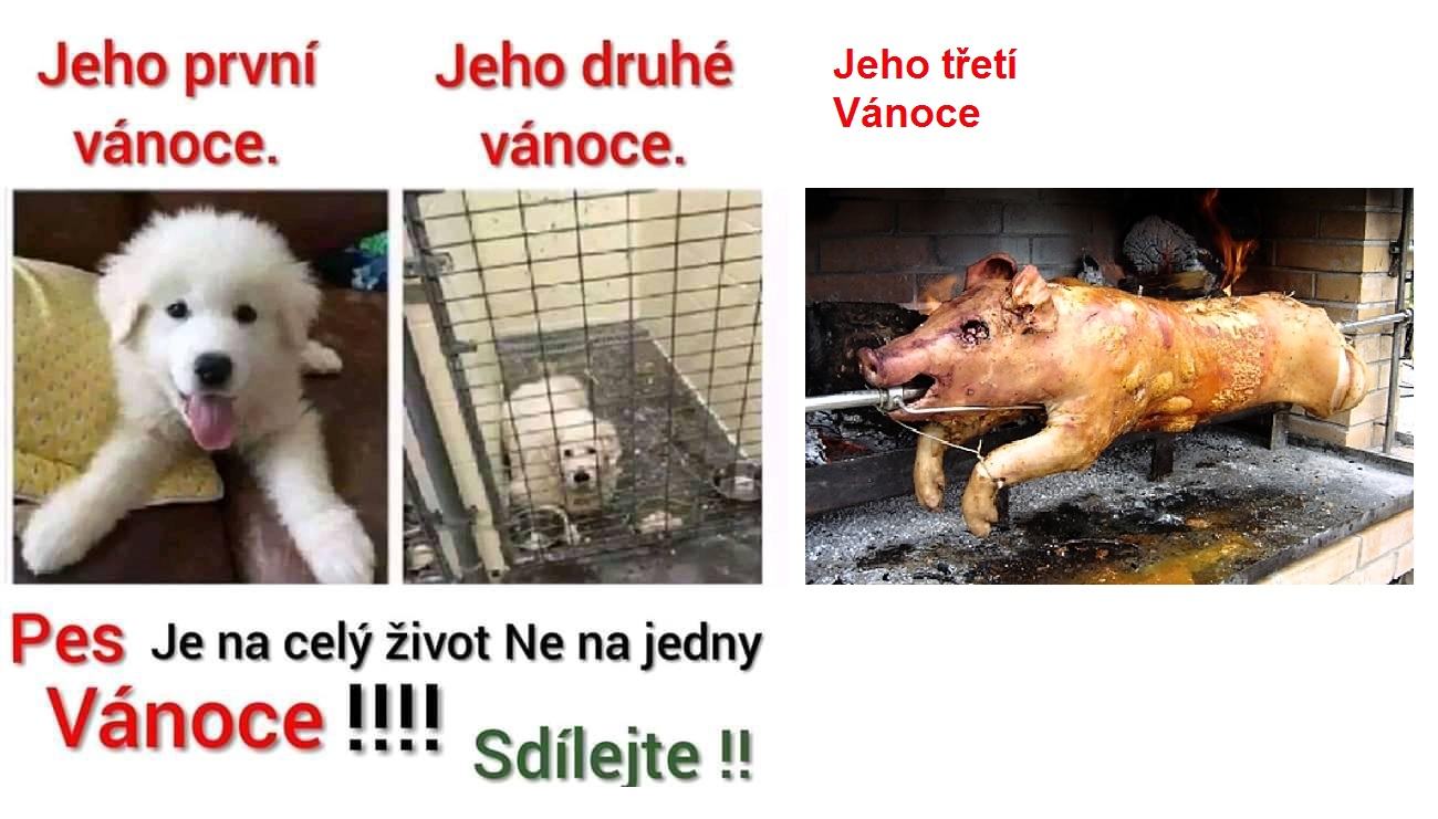 Obrázek PICOVINA Z FACEBOOKU