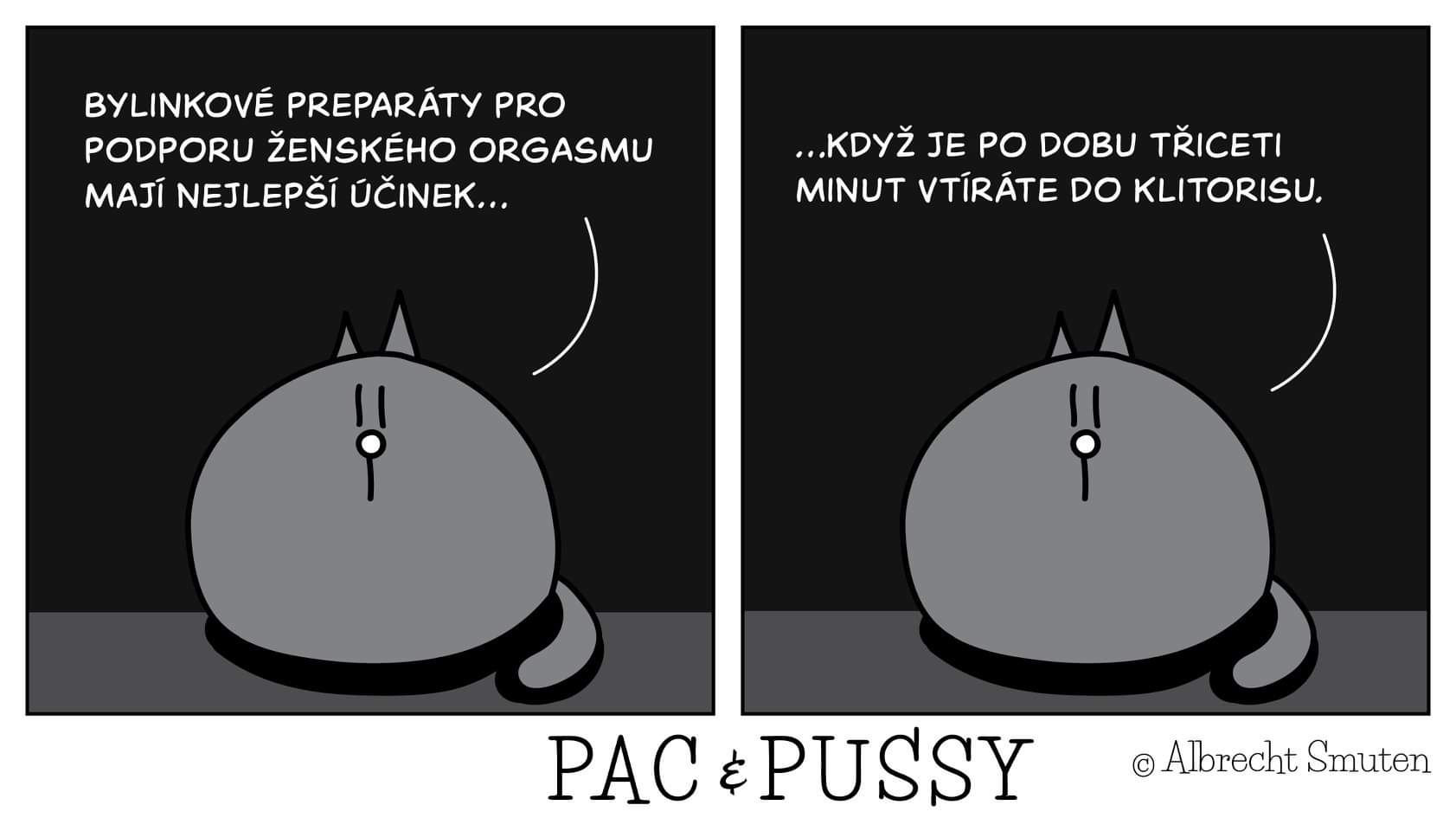 Obrázek Pac a pussy