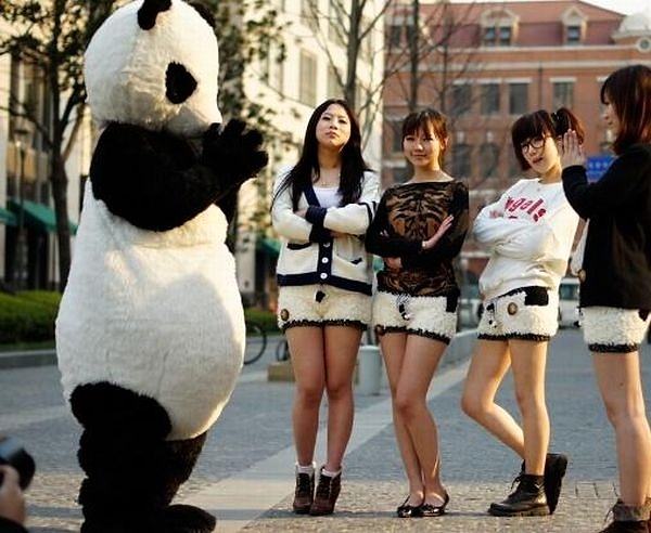 Obrázek Panda shorts - 09-05-2012