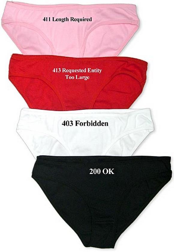 Obrázek Panties for Geeks Girlfriends 4