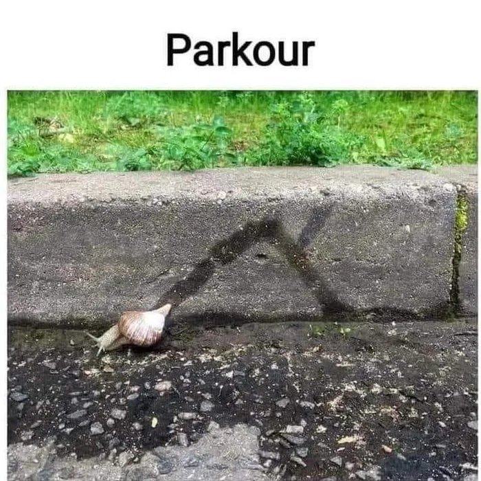 Obrázek Parkour