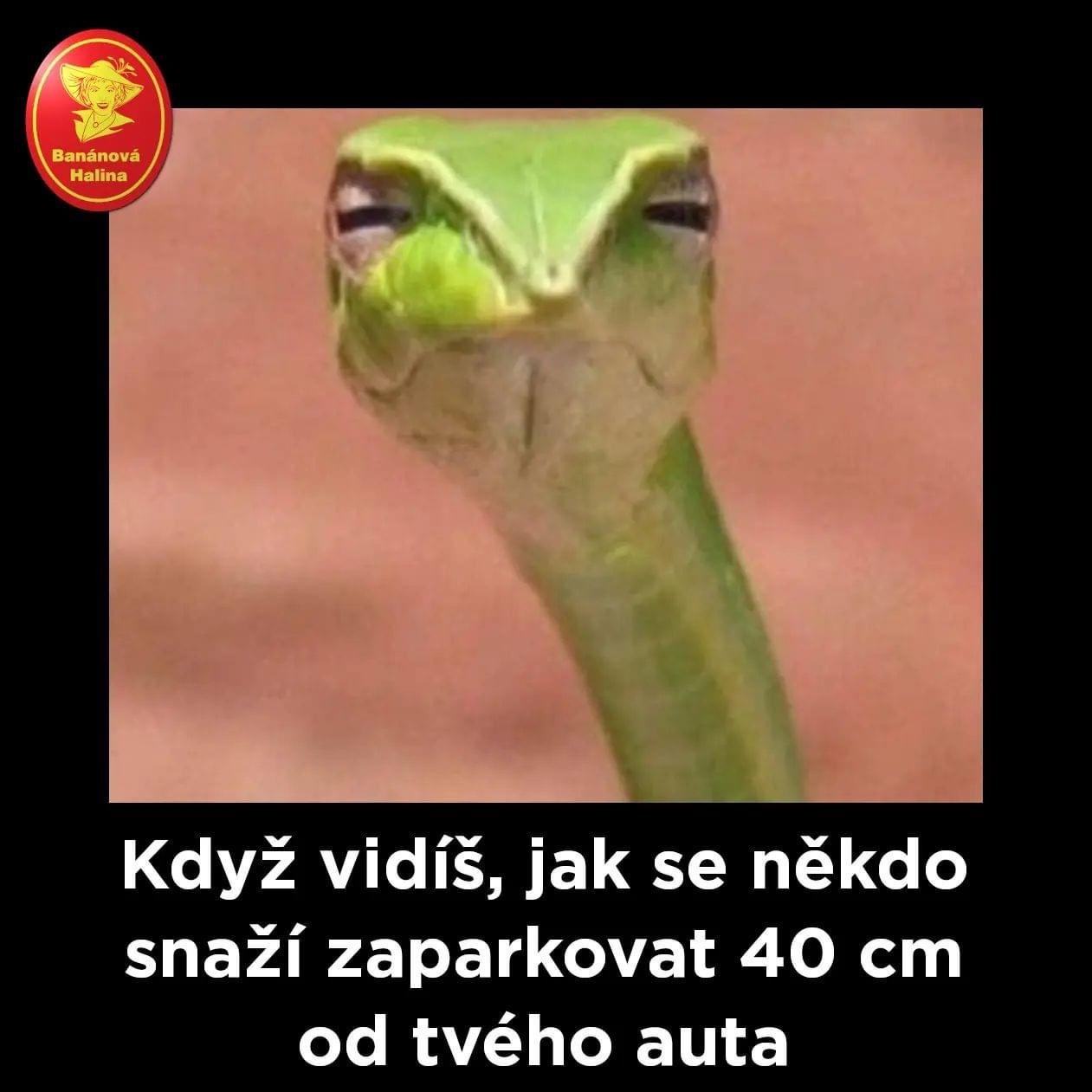 Obrázek ParkujJinde
