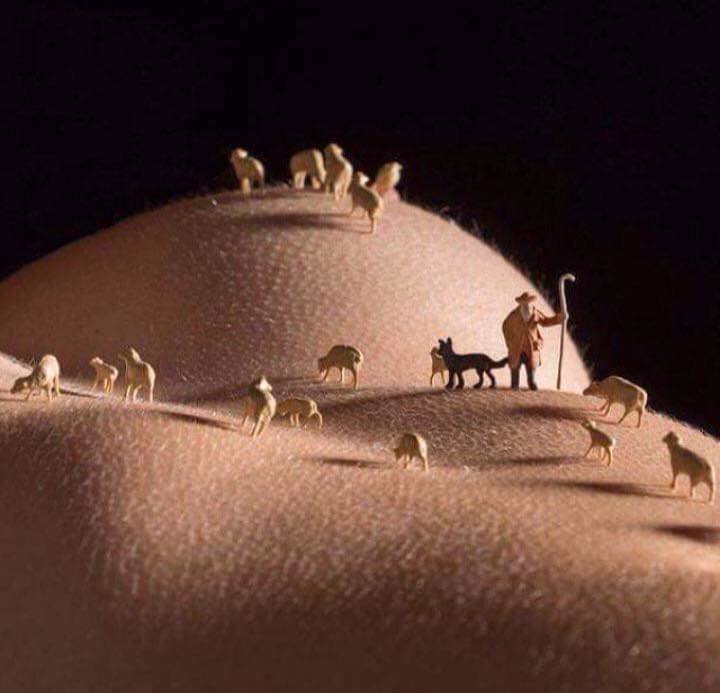 Obrázek Pasli ovce valasi