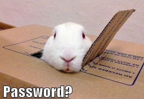 Obrázek Password - 20-04-2012