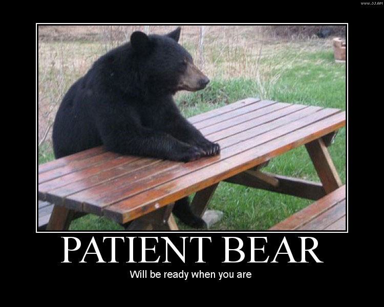 Obrázek Patient bear