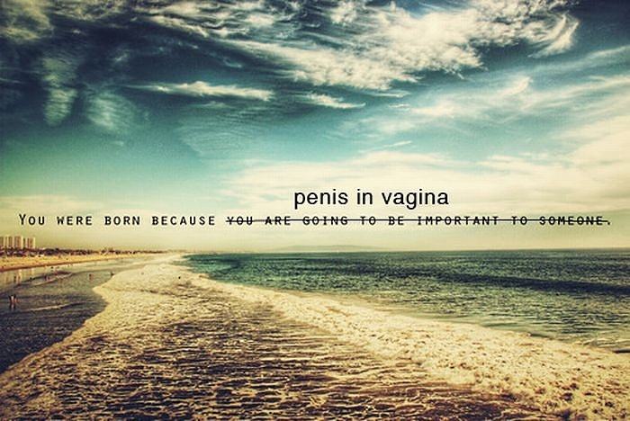 Obrázek Penis in vagina 02-10-2008