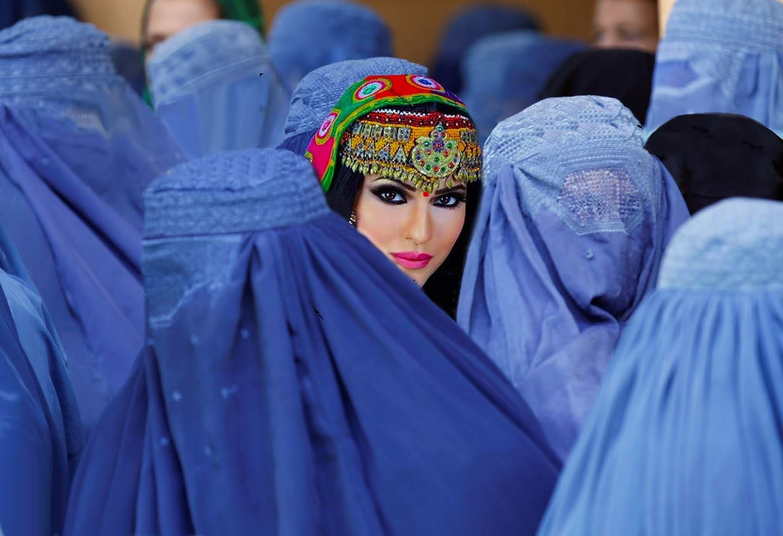 Obrázek Perzanky v CR nechceme