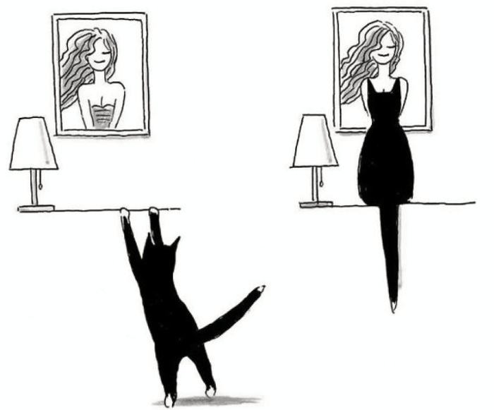 Obrázek Picture4890