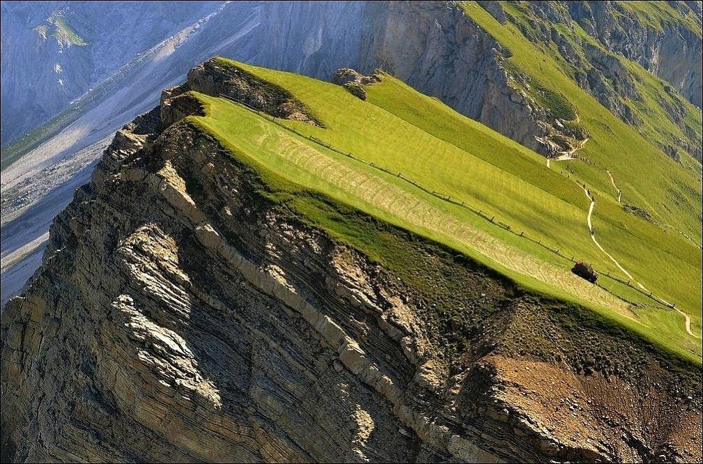 Obrázek Picture fo the day - Italian farming