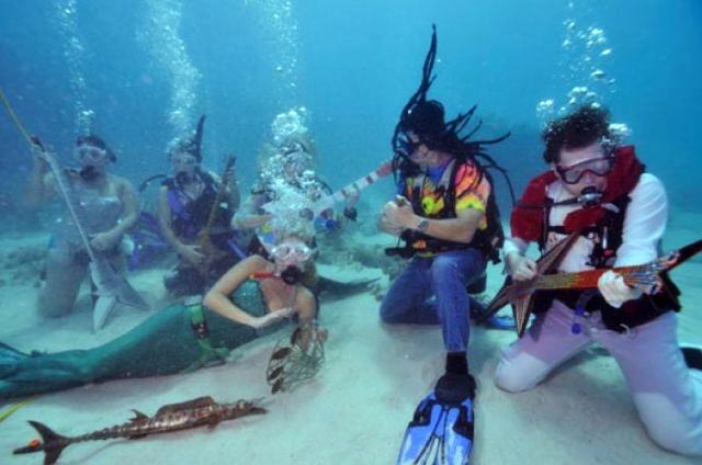 Obrázek Picture of the day - Underwater concert in Big Pine Key