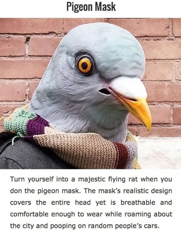 Obrázek Pigeon Mask Review