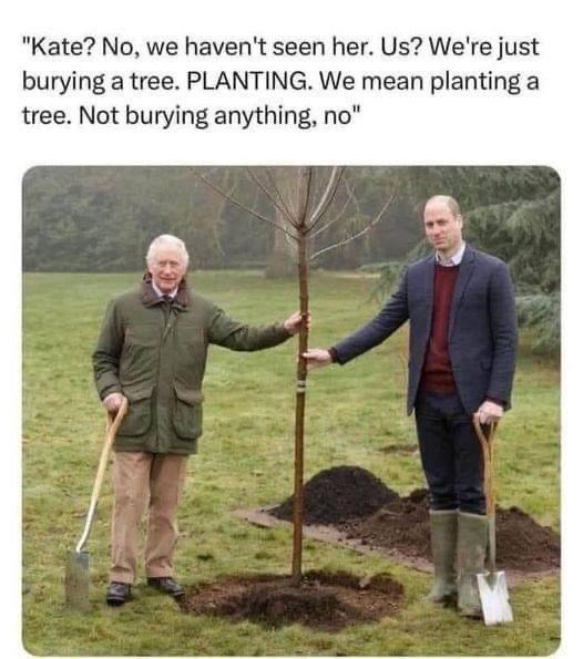 Obrázek PlantingKate