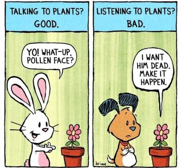 Obrázek Plants Good And Bad