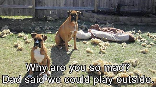 Obrázek Playing Outside6867