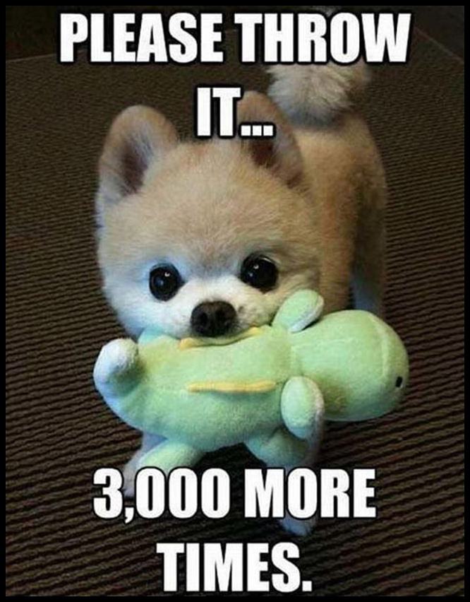 Obrázek Please&nbsp;Throw&nbsp;It