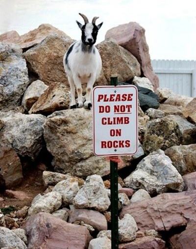 Obrázek Please do not climb on rocks