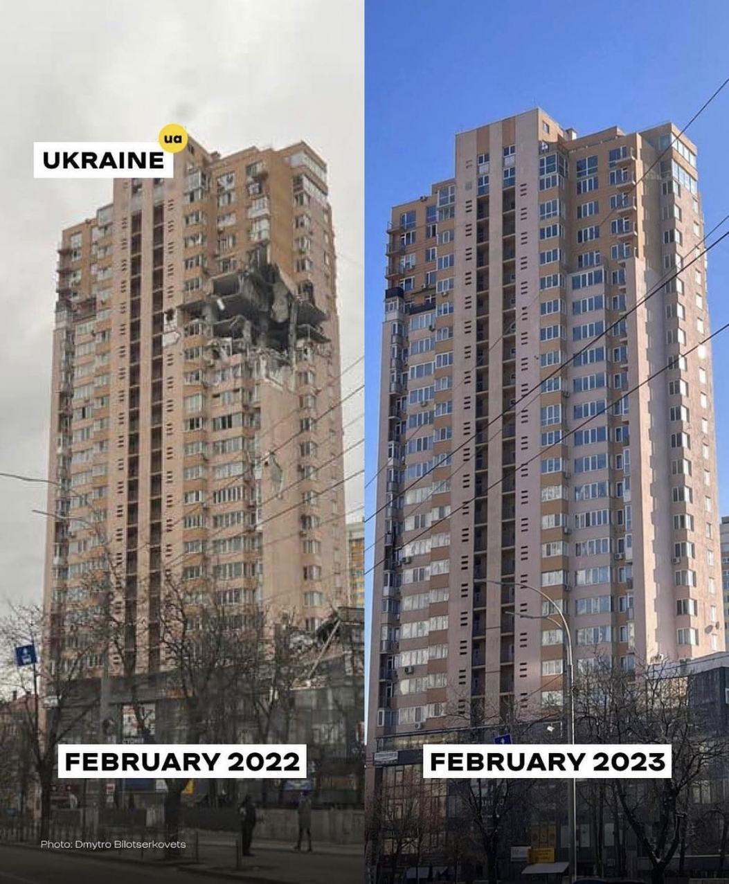 Obrázek Po roce