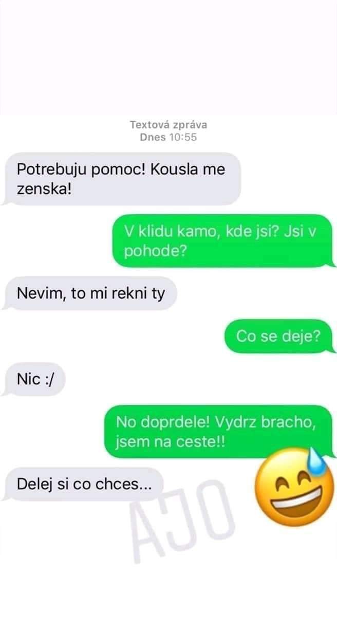 Obrázek Pokousany zenskou