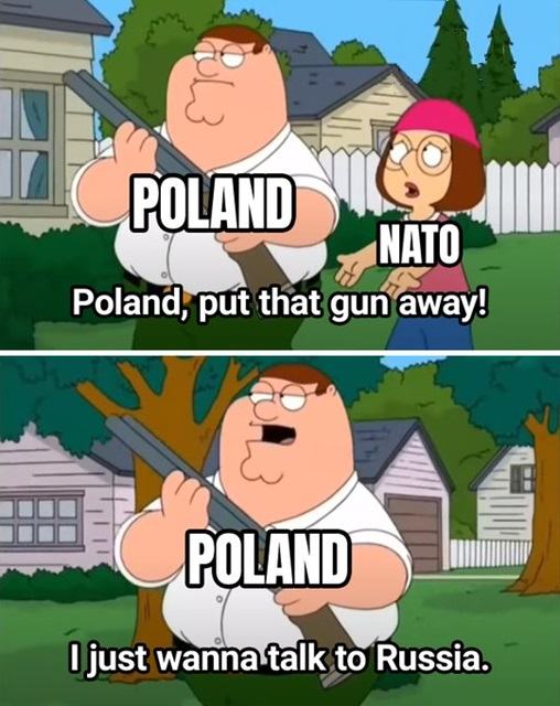 Obrázek Poland getting ready