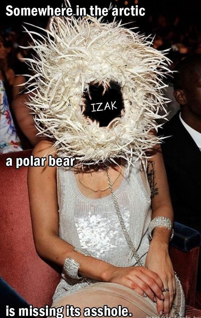Obrázek Polar Izak