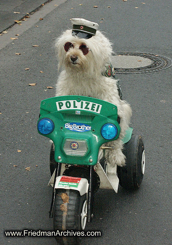 Obrázek Police Dog