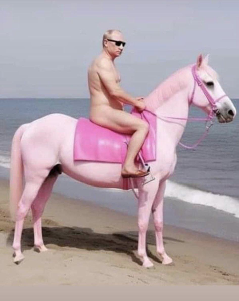 Obrázek Polonahy Vladimir Putin se prohanel na koni