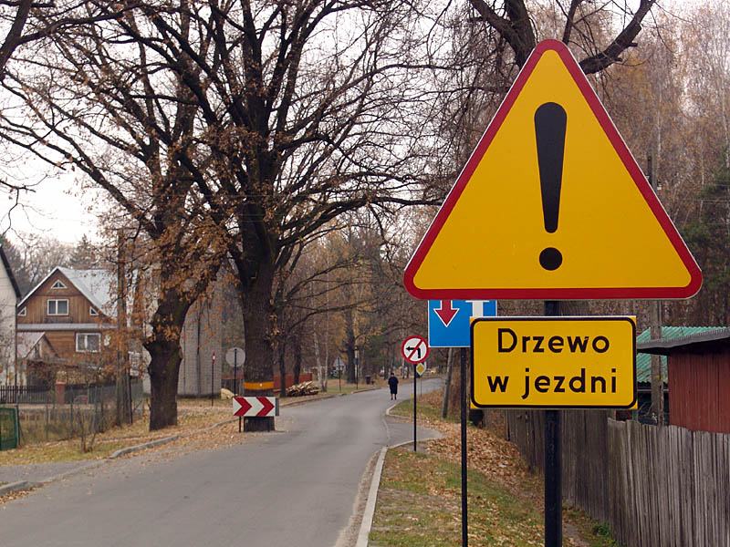 Obrázek Polskie drogi