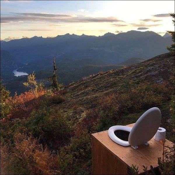 Obrázek Poo with a view