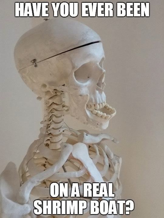 Obrázek Poor-Bubba