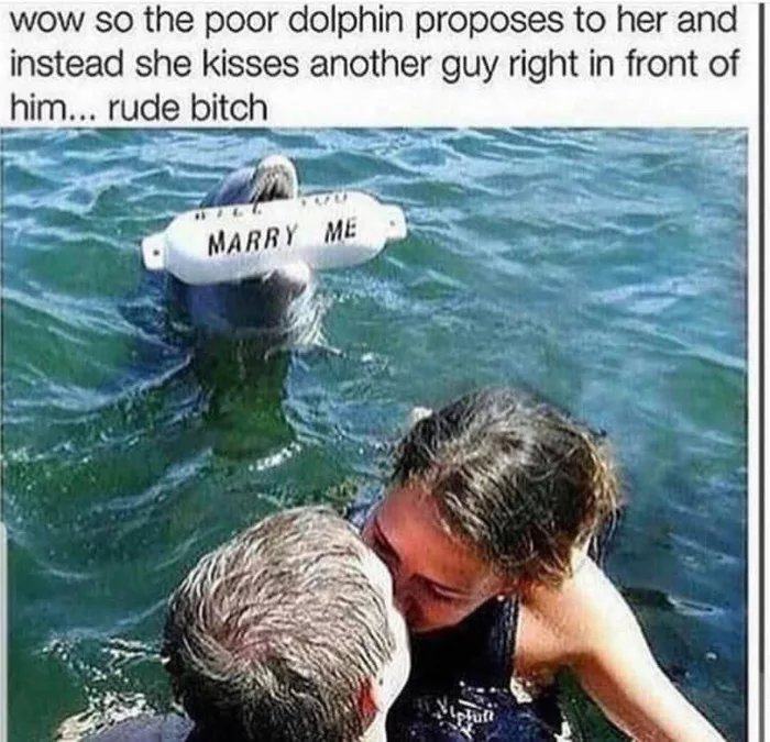 Obrázek Poor-dolphin