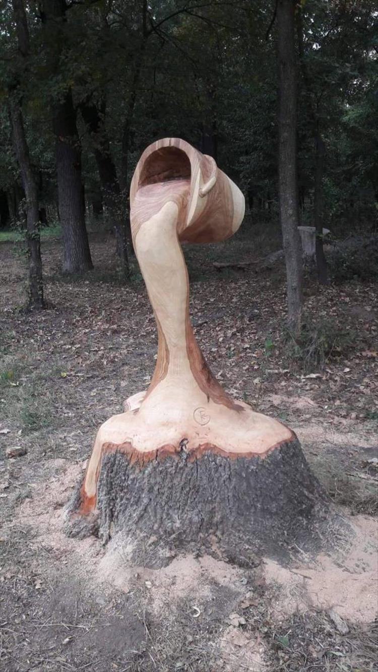 Obrázek Porous wood