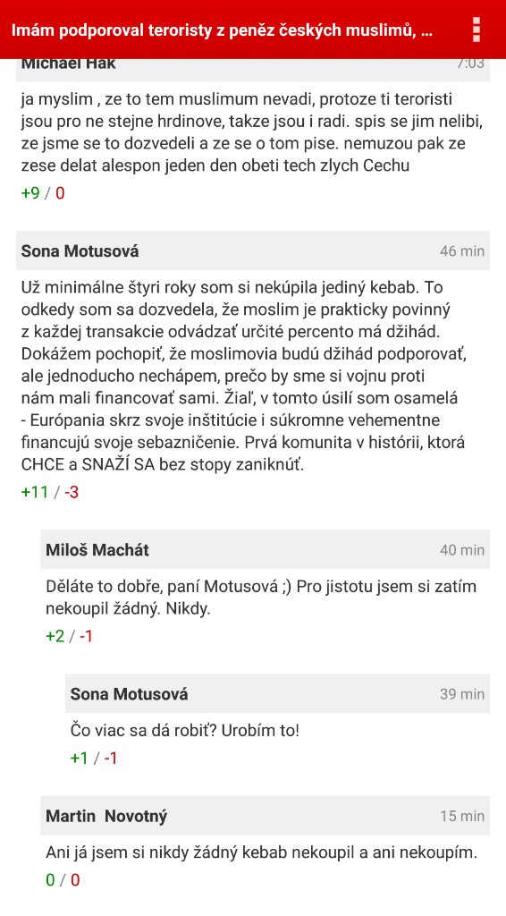 Obrázek Pozor na kebab