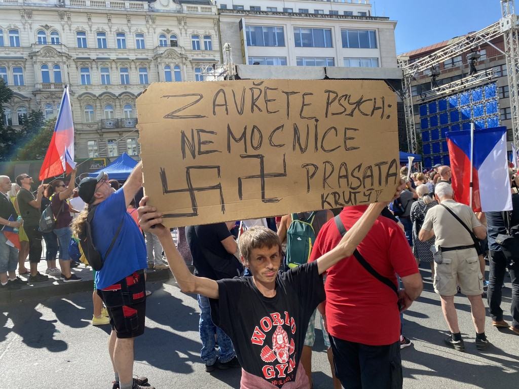 Obrázek Prasata kruty