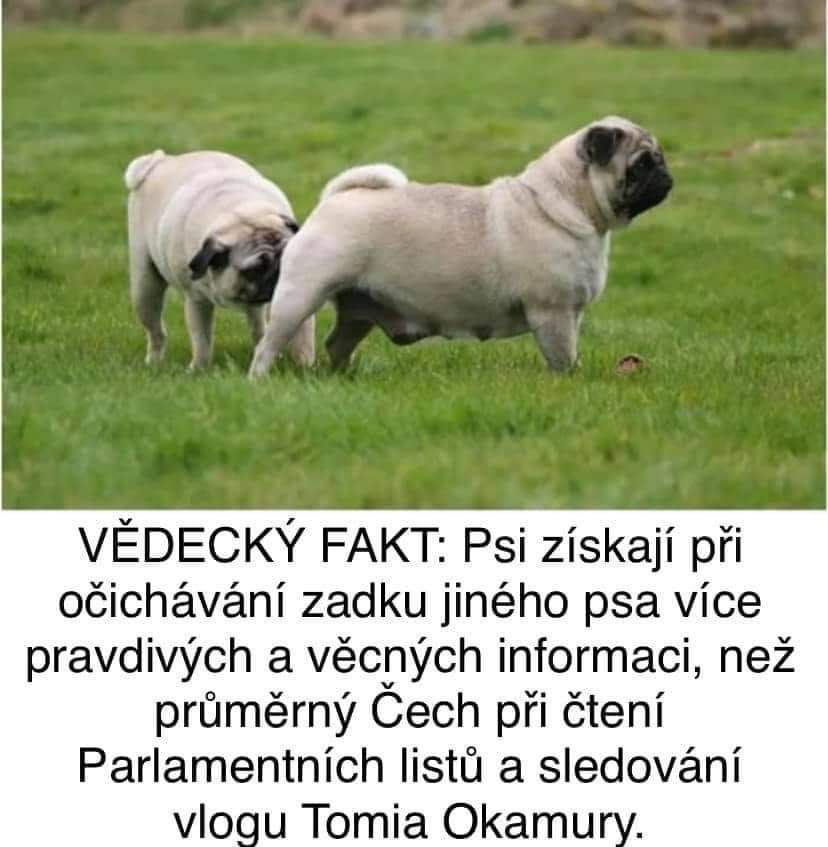 Obrázek Predavani informaci