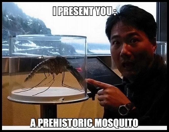 Obrázek Prehistoric-mosquito