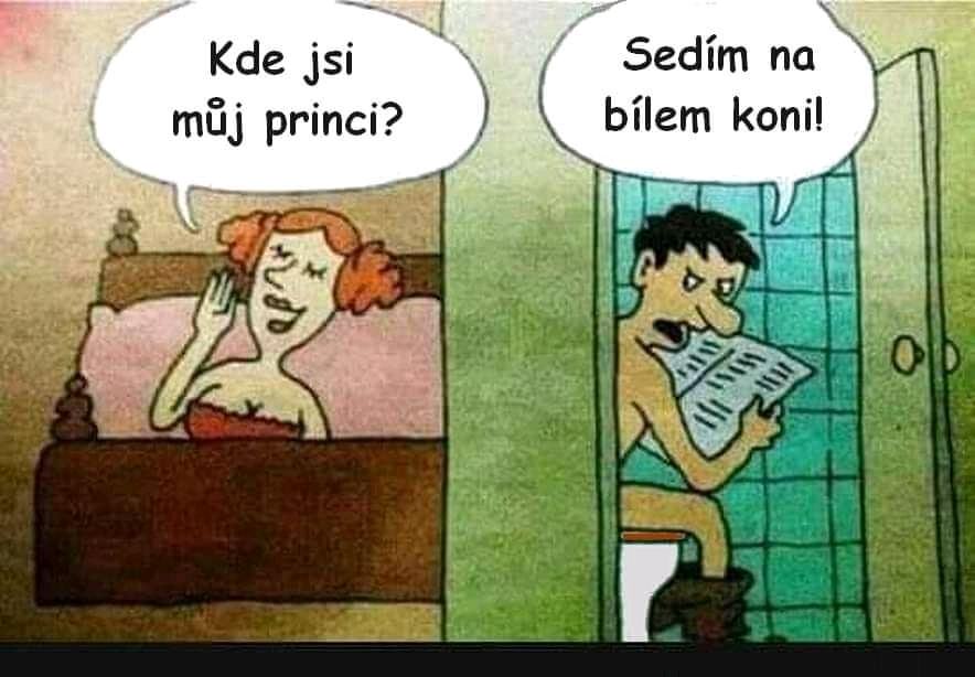 Obrázek Princ na bilem koni